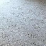 Carpet Cleaning in Eastbourne