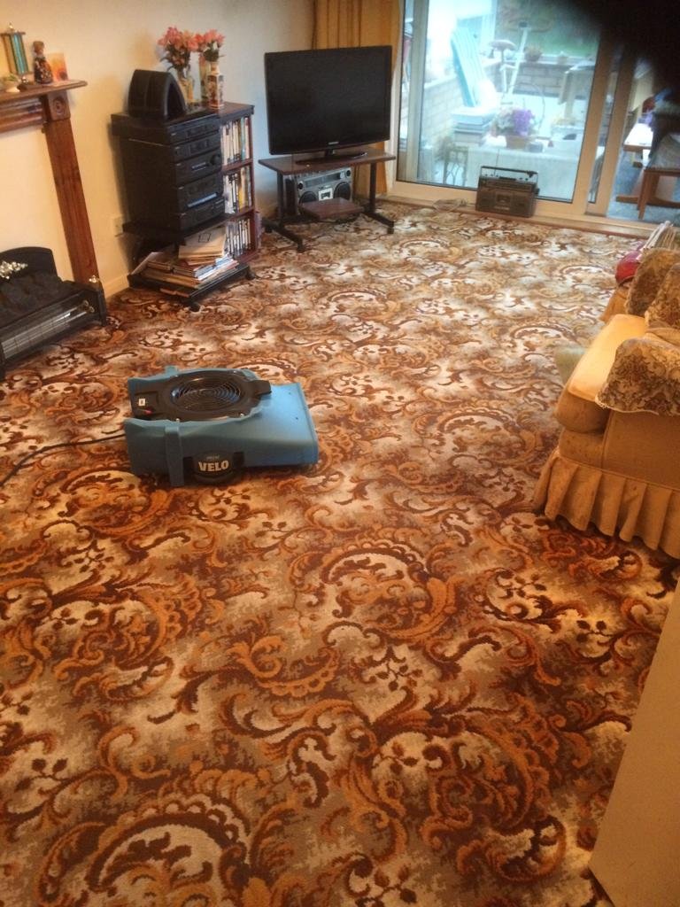 Our Latest Carpet andUpholstery Work Throughout Bexhill, Eastbourne and